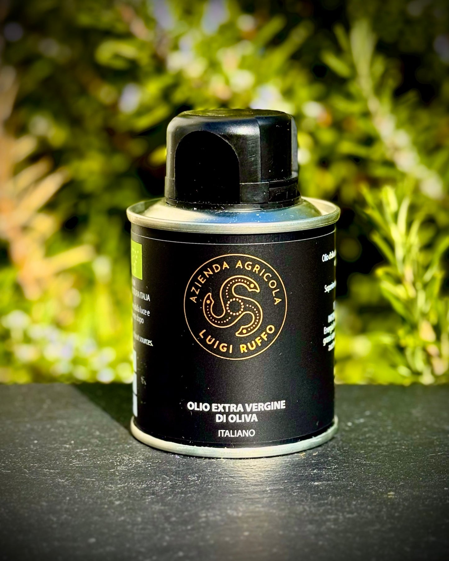 Jar of olive oil with a black label against a green foliage background