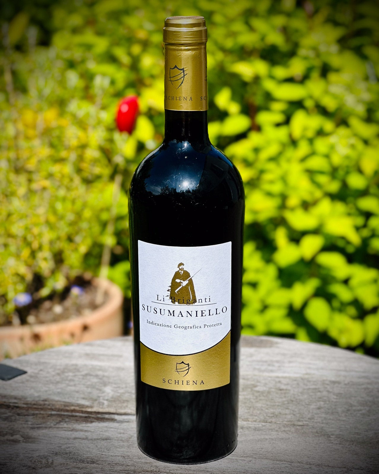 Susumaniello wine bottle named Li Briganti from Schiena wooden surface with a blurred green background