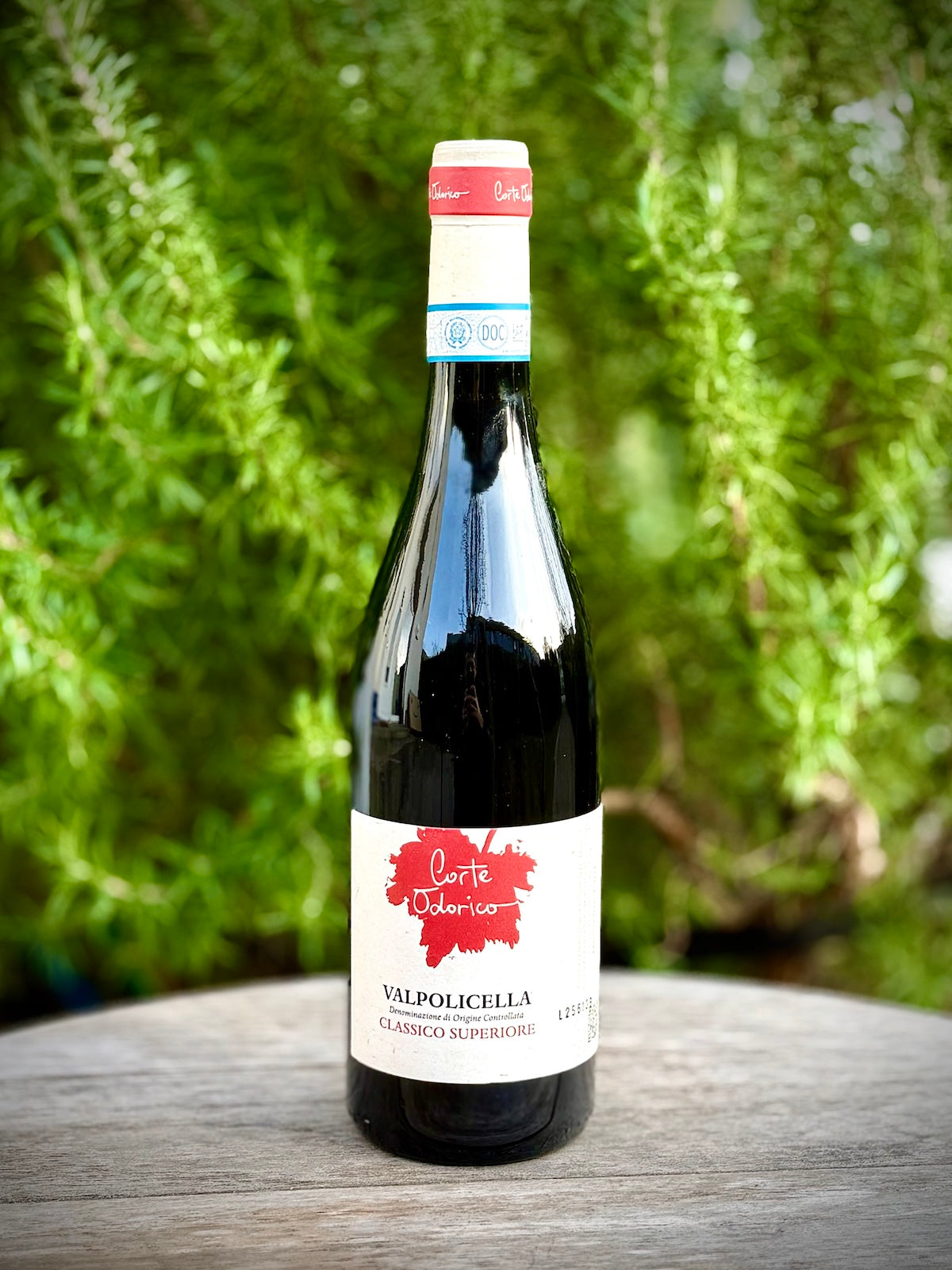 Wine bottle of type Valpolicella Classico Superiore from Corte Odoricowith a red label on a wooden surface with greenery in the background