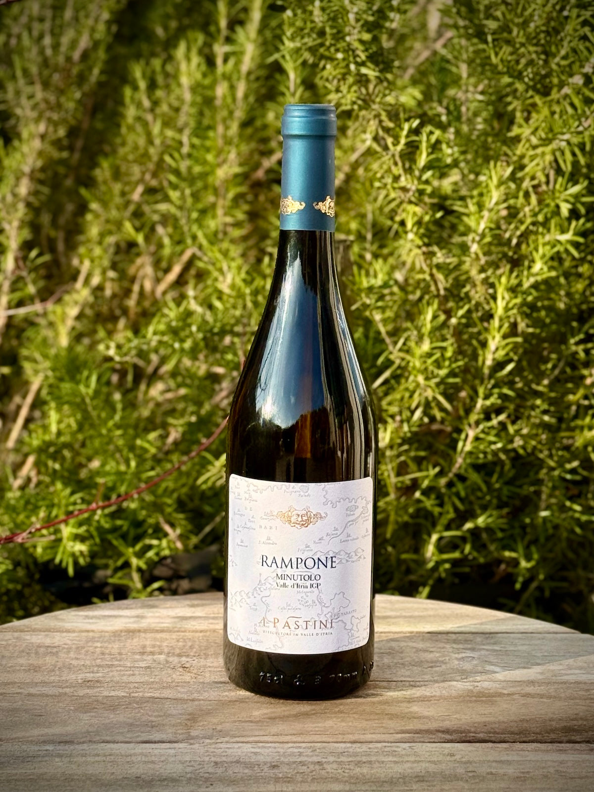 Wine bottle labeled 'Rampone' from Pastini on a wooden surface with greenery in the background