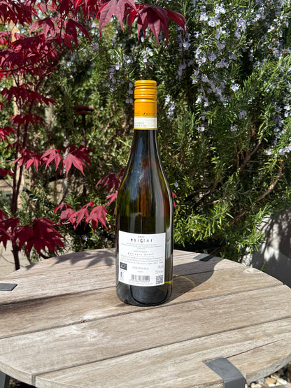 Rücketikett des Origini von Fattoria Nanni