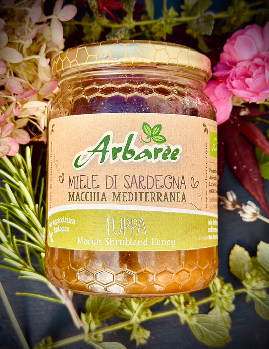 Glas Arbaree-Mediterraner-Strauchhonig mit floralem Hintergrund
