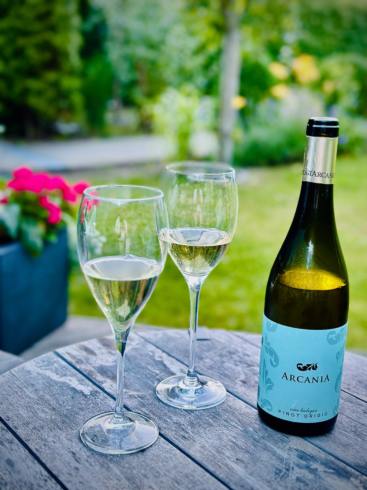 Pinot Grigio: Friuli Colli Orientali DOC