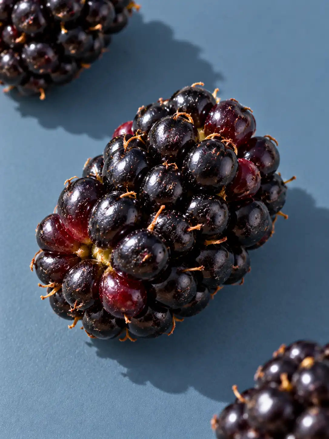 Frores de Arru: Organic Wild Blackberry Honey