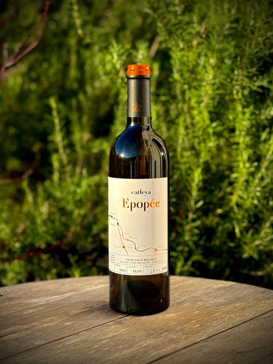 Wine bottle labeled 'Epopeé' from Catleya winery on a wooden surface with a green, leafy background