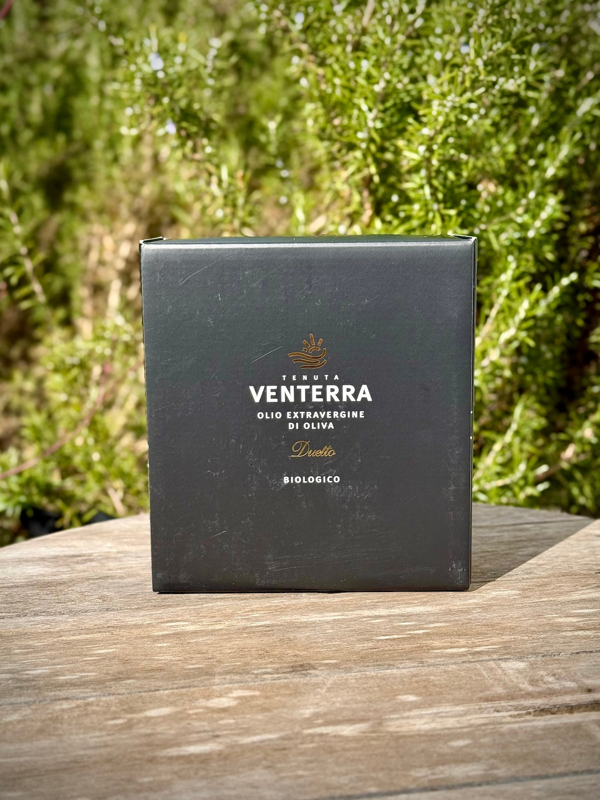 Black Ventera olive oil box on a wooden surface with greenery in the background