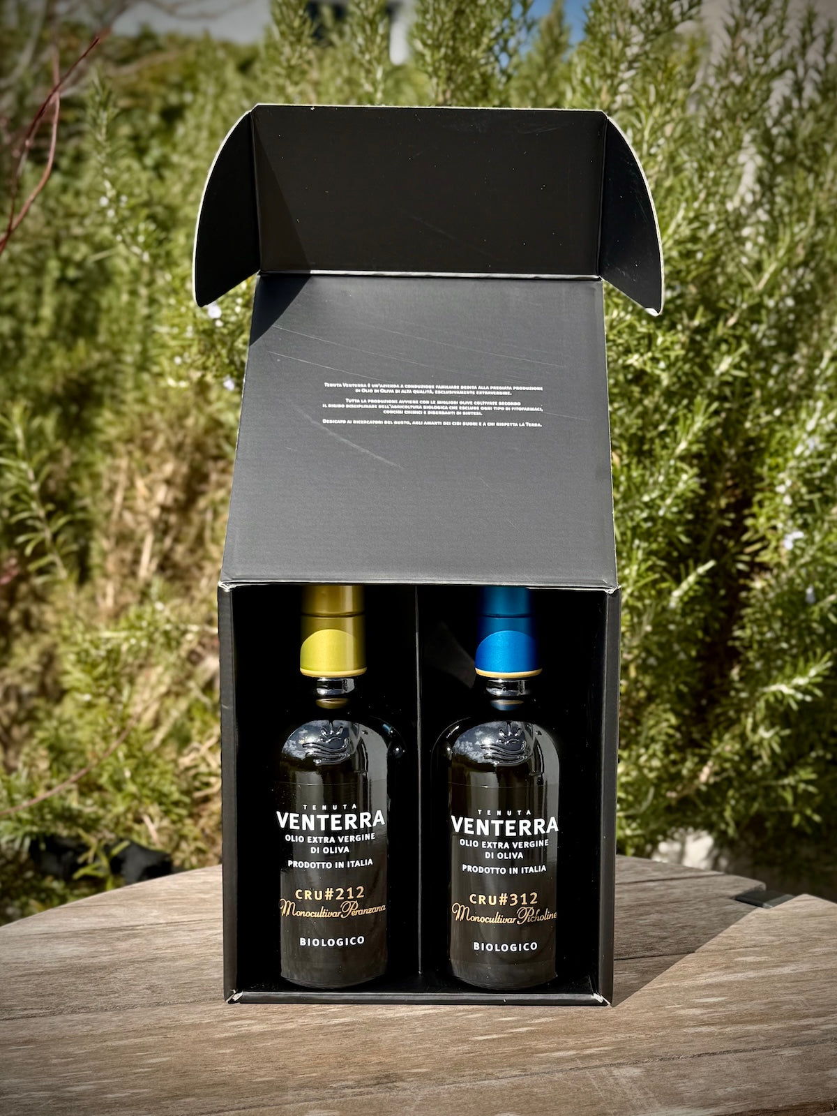 Two bottles of Venterra olive oil in a black gift box with a natural outdoor background.