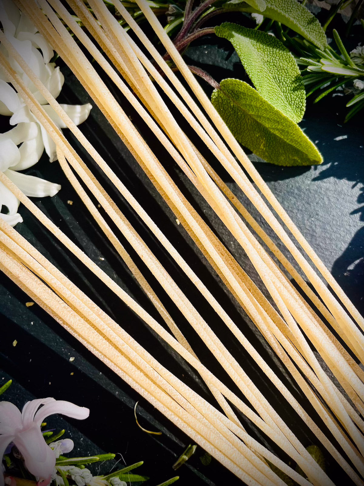 Spaghetti pasta close up