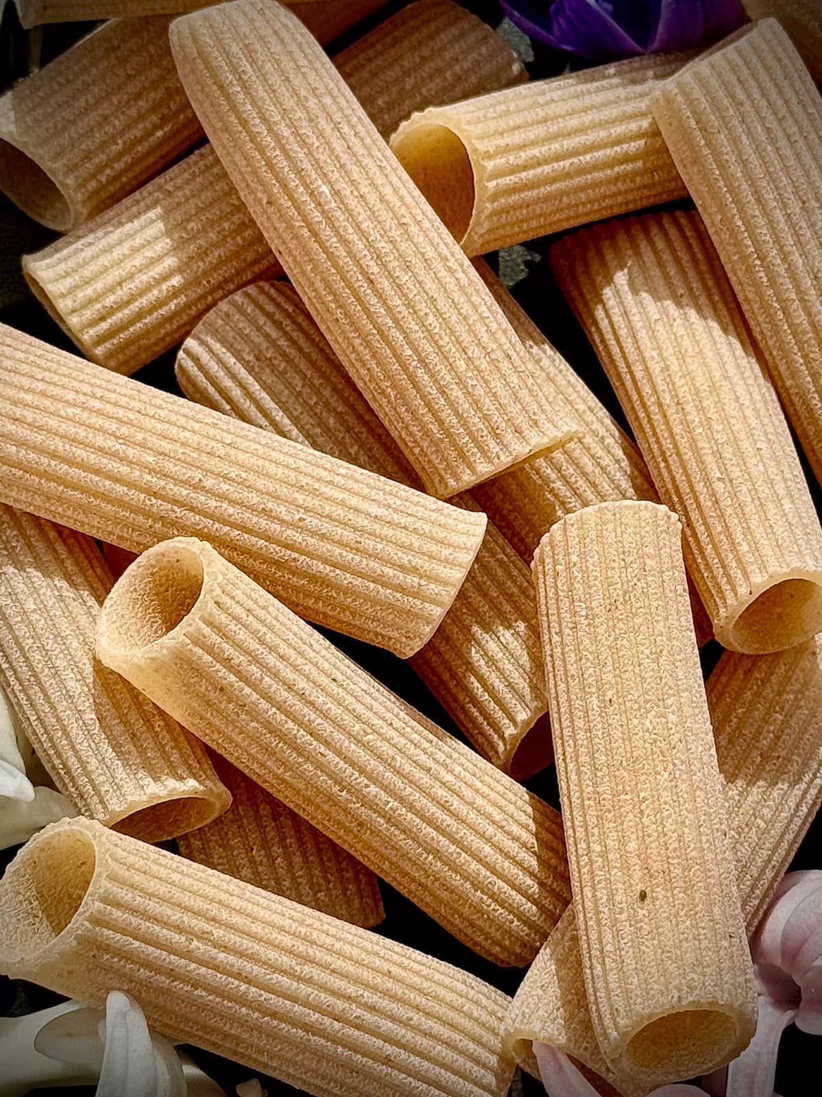 Close-up of pasta tortiglioni rigati lunghi