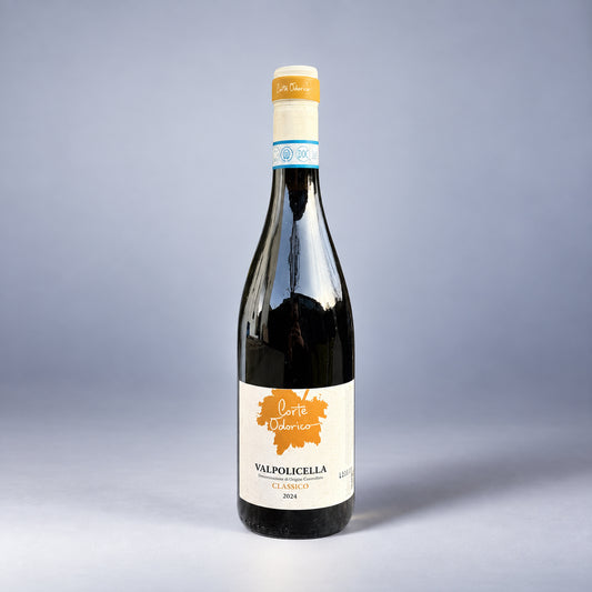 Eine einzelne Flasche Valpolicella Classico der Marke Corte Odorico vor einem neutralen grauen Studiohintergrund.