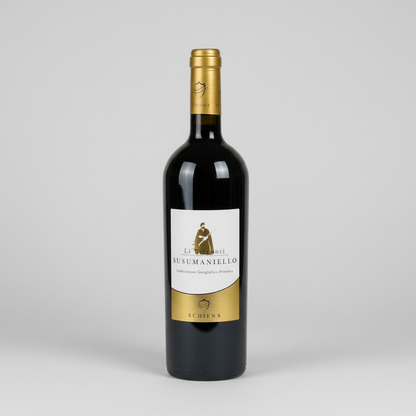 Eine  Flasche Li Briganti Susumaniello der Marke Vini Schiena vor einem neutralen grauen Studiohintergrund.
