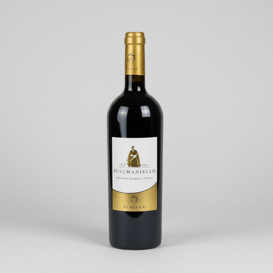 Eine  Flasche Li Briganti Susumaniello der Marke Vini Schiena vor einem neutralen grauen Studiohintergrund.
