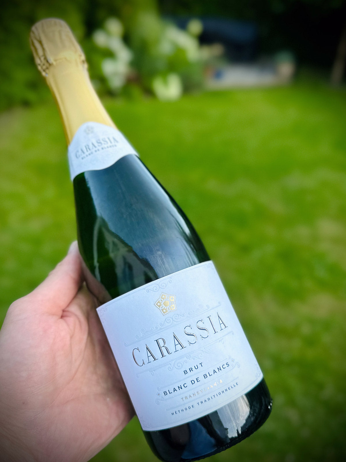 Bottle of Carassia blanc de blancs sparkling wine held in a hand with a blurred green outdoor background
