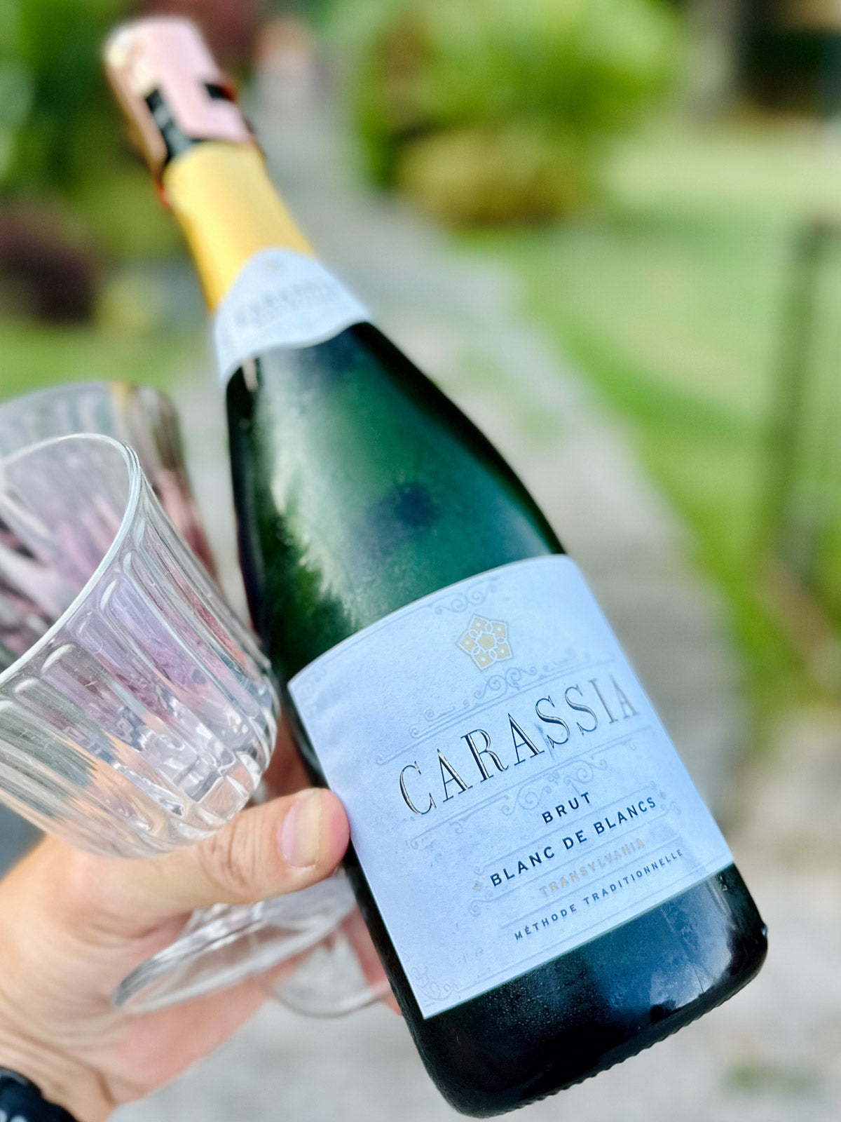 Bottle of Carassia Blanc de Blancs sparkling wine with a glass outdoors.