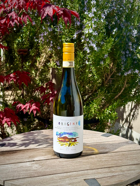 Bottle of Verdicchio wine from Fattoria Nanni, on a wooden table and green background