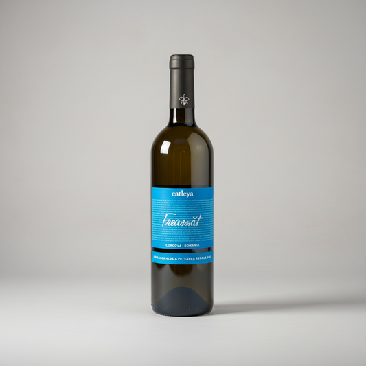 Eine  Flasche Freamat Alb der Marke Catleya vor einem neutralen grauen Studiohintergrund.
