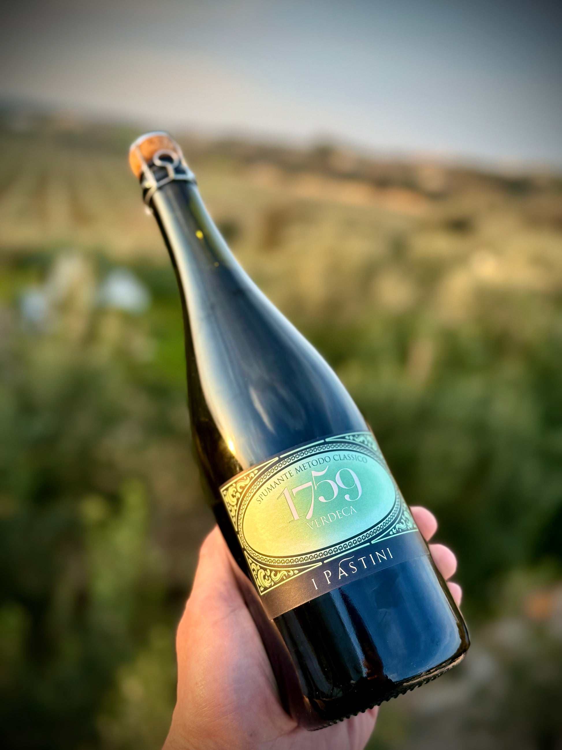 A hand holds a dark glass bottle of a bottle of 1759 Pastini Verdeca sparkling wine against a blurred outdoor landscape background.