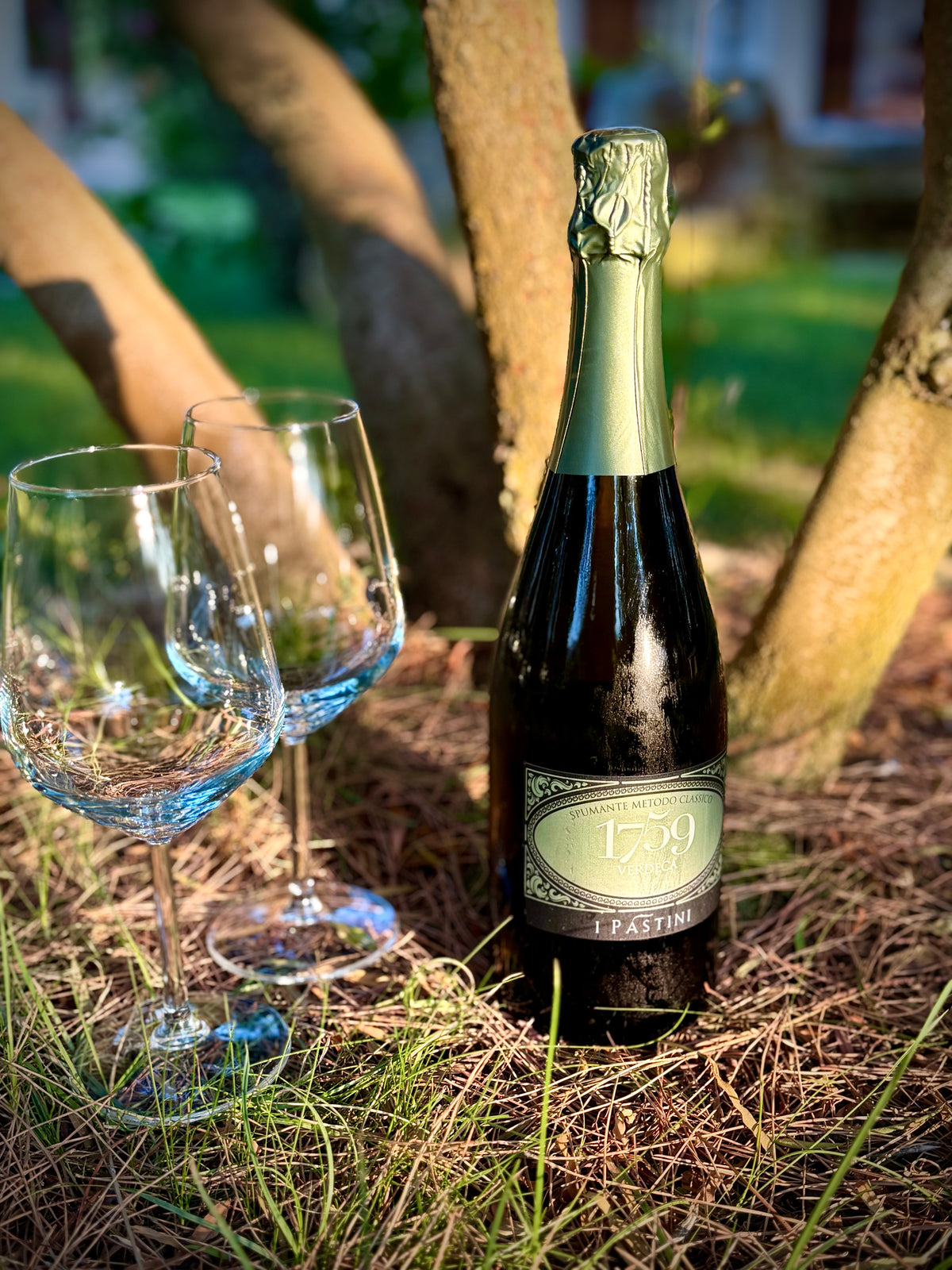 A bottle of 1759 Pastini Verdeca sparkling wine stands outdoors on grass and pine needles beside two clear wine glasses, with tree trunks and a blurred garden background.