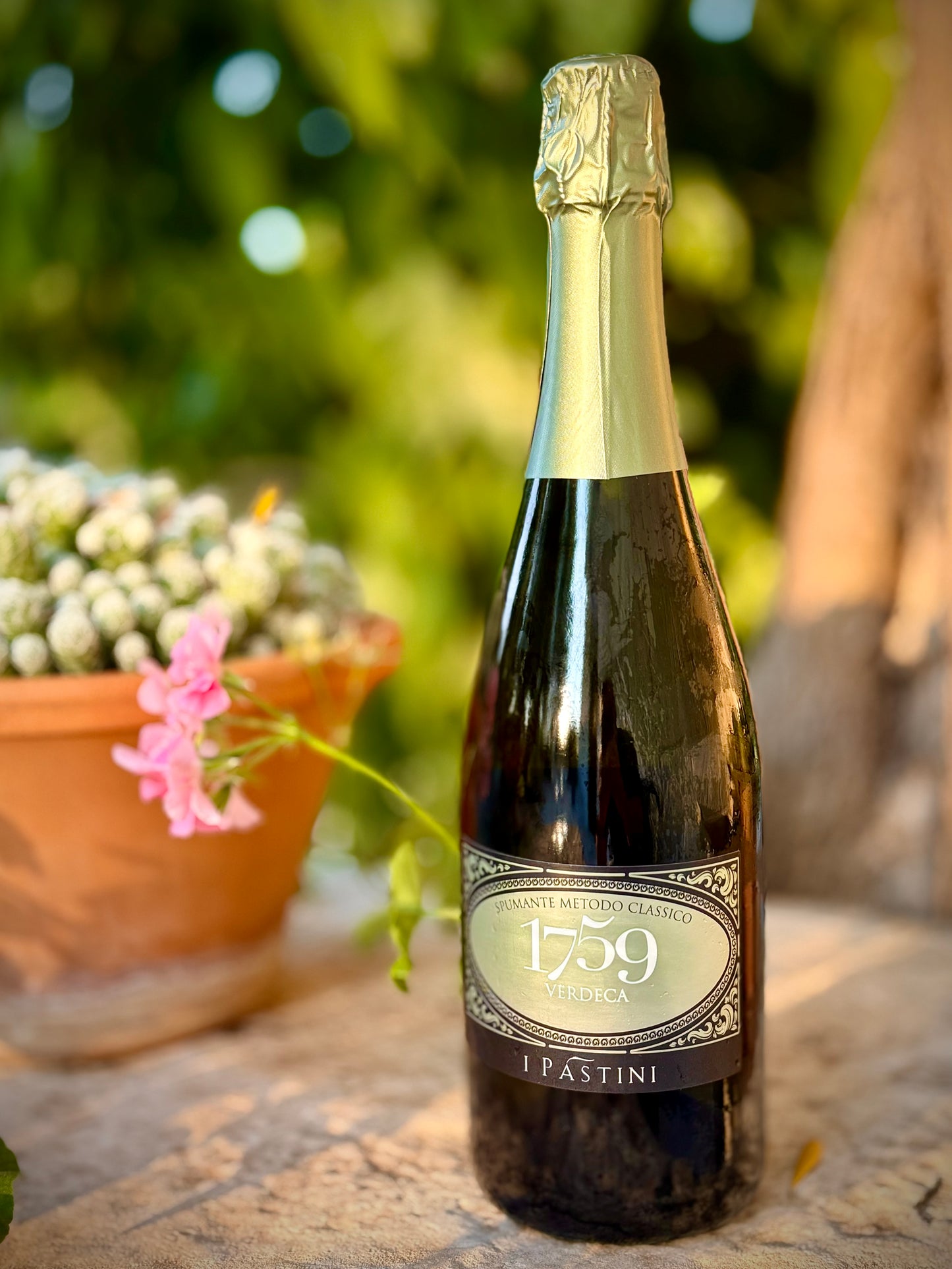 A bottle of 1759 Pastini Verdeca sparkling wine with a gold foil top, set on a stone surface with a blurred background of green foliage and a terracotta flower pot.