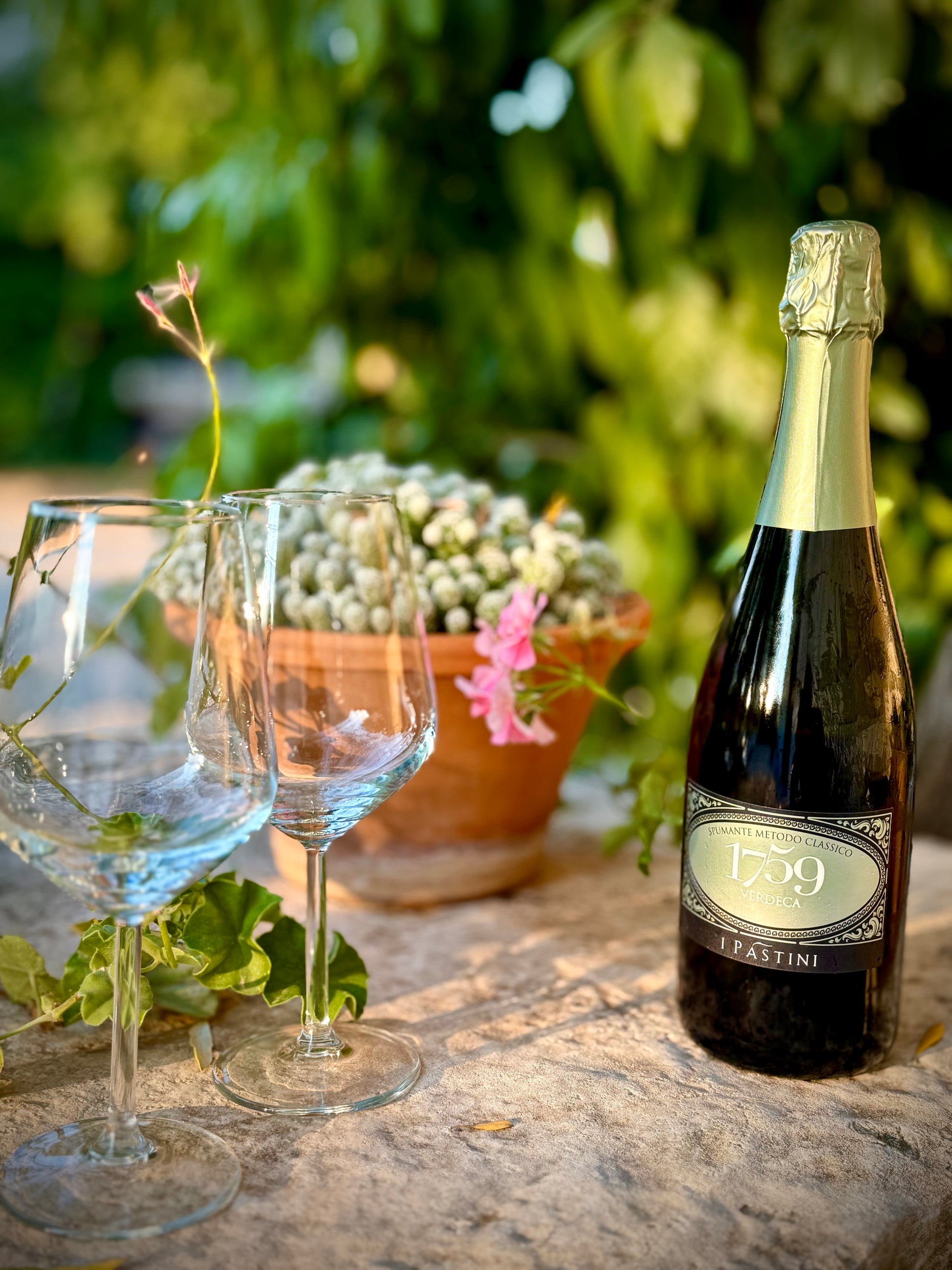 A bottle of 1759 Pastini Verdeca sparkling wine with two empty wine glasses on a stone surface, set against a blurred garden background with green foliage and a potted succulent.
