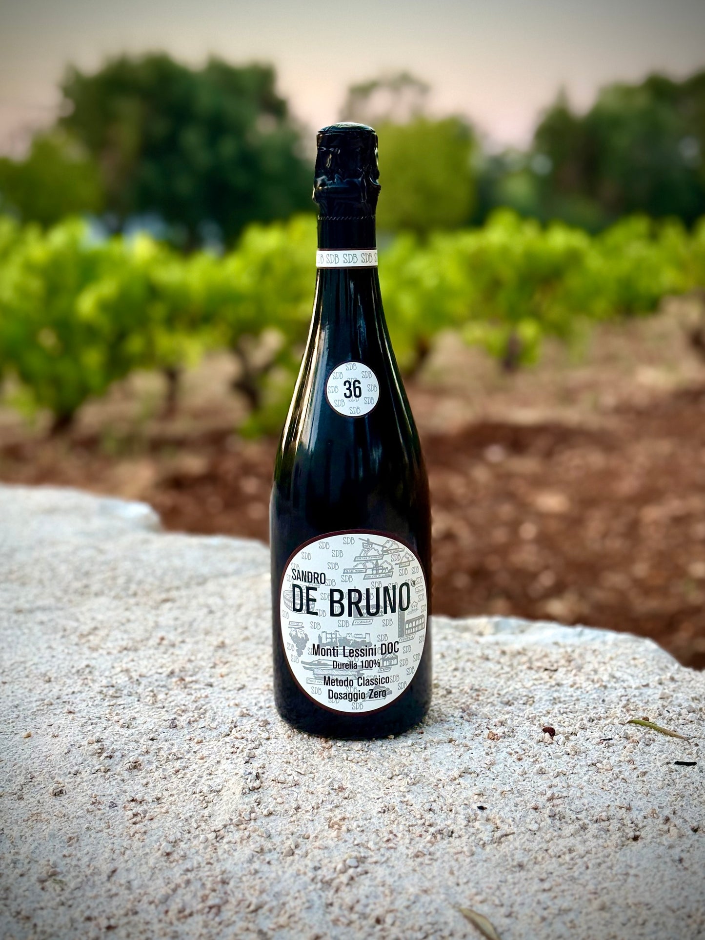 A bottle of Sandro De Bruno sparkling wine stands on a light-colored stone surface with a blurred vineyard background.