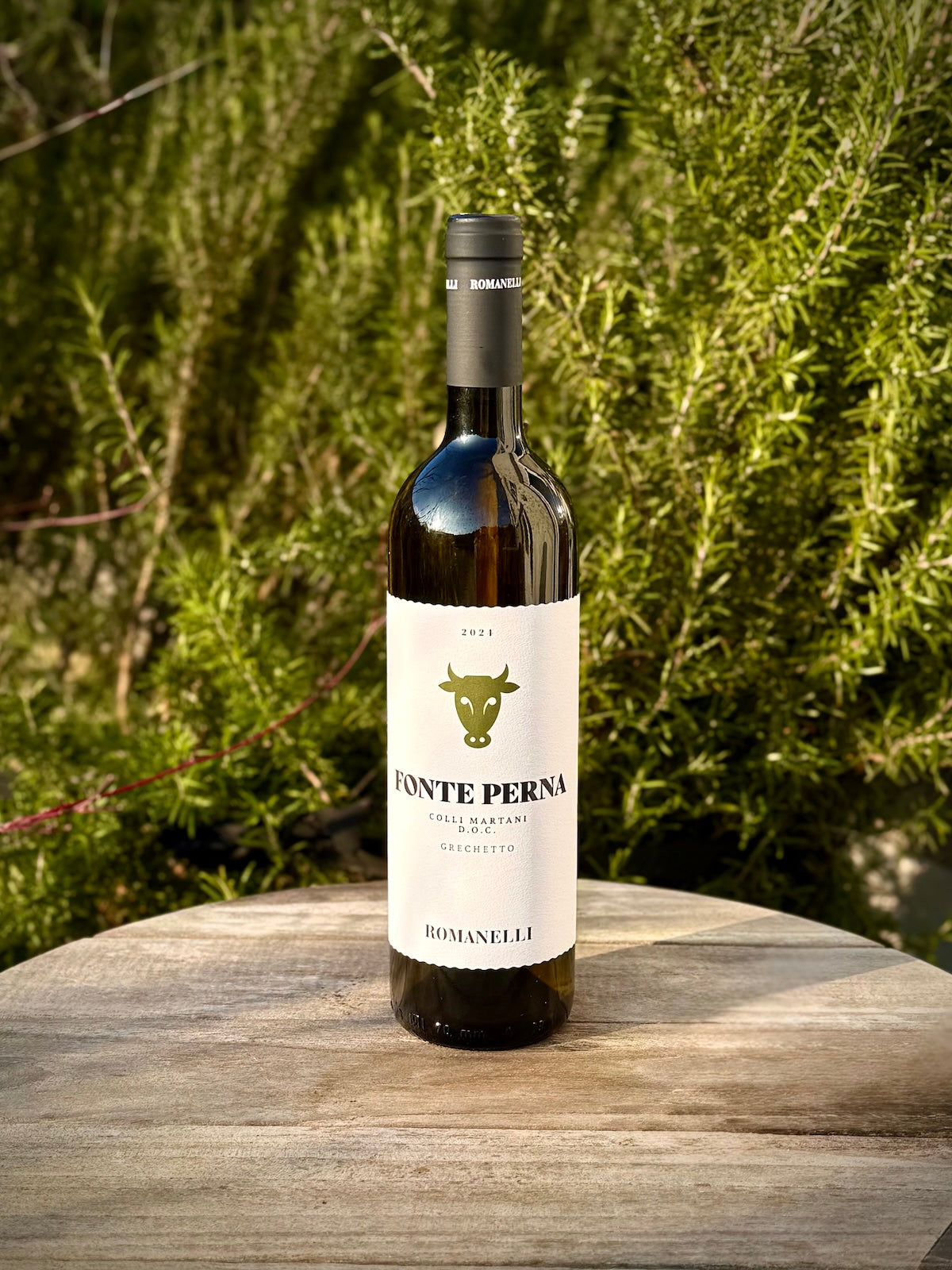 Wine bottle from Romanelli with 'Fante Perna' label on a wooden surface with greenery in the background