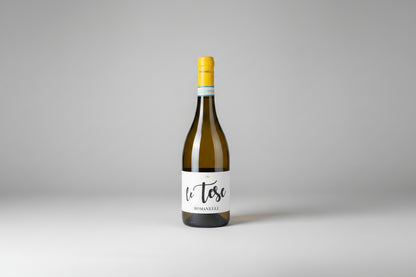 A bottle of wine "Le Tese" from Romanelli on a grey background