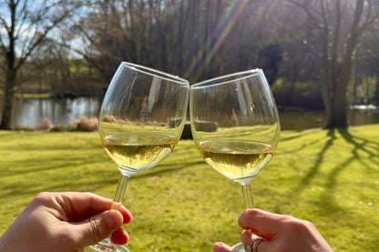 Monte San Piero Soave Superiore